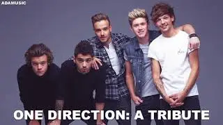 One Direction Mashup The End