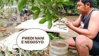 FOR SALE NANA KOY NEGOSYO + NESEMBA SA RADYO