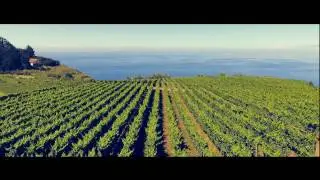 Madeira Wine Festival - Promotional Video