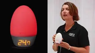 GRO Company Ночник-термометр комнатный GroEGG2