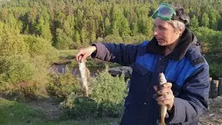 Рыбалка на хариуса на горной реке