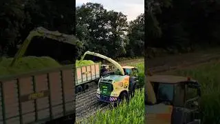 Unser Big X 12 Reiher im Einsatz🌽🔥 #maish&auml;ckseln #mais #2024 #krone #bigx #erntezeit #claas #agri