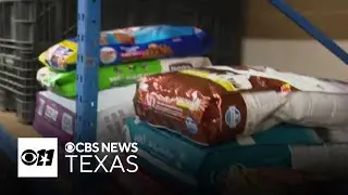 Fort Worth pet food bank sees uptick in need as government shutdown continues