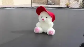 POSSESSED TEDDY!