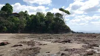 Punta Duarte