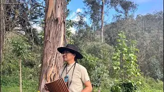 Beautiful Music Bambú #song