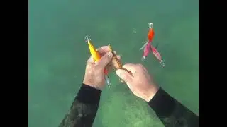 Nueva recolecta de jibioneras o pajaritos !! Poco más de 40 minutos
