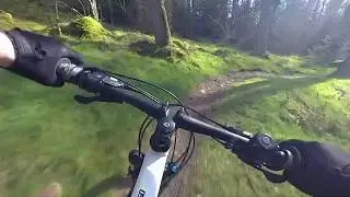 MTB trail riding Mabie Forest 