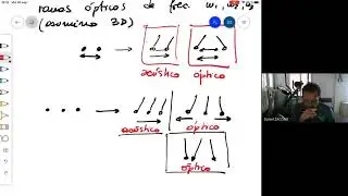 Rama &oacute;ptica: Modelo de Einstein. Densidad de Estados. Problema de Matriz Din&aacute;mica. Caso del diamante
