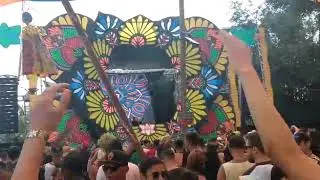Lirio festival