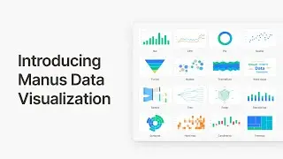Introducing Data Visualization for Manus