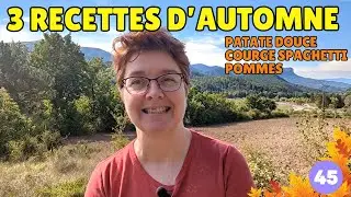 👉RECETTES d'AUTOMNE FACILES, RAPIDES et ECONOMIQUES 😋 patate douce, courge spaghetti et pommes