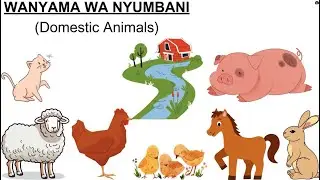 Wanyama wa nyumbani / Domestic animals/ Jifunze Kiswahili