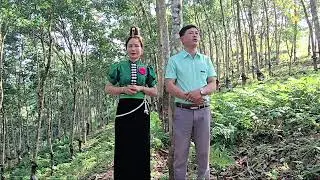 Lò kim cương gặp Lò thị pứng rất hay 