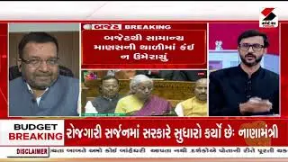 Union Budget 2026 | બજેટને લઈ સાંસદ મિતેષ પટેલે શું કહ્યું | Nirmala Sitharaman | Budget 2026