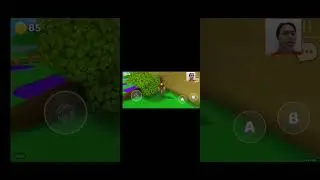 Peti Kedua - Super Bear Adventure