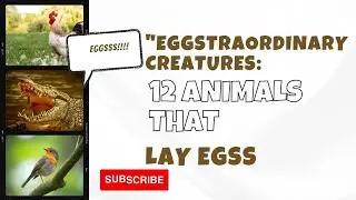 12 Fascinating Egg-Laying Species