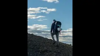Level Wings Fusion Harness V3