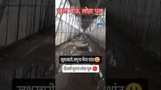 Flood Today Live 🔴Yamuna Mission Clean-Up Update #flood #yamuna @delhikagourav