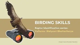 Identifying Gyps Vultures in India | By Malyasri Bhattacharya