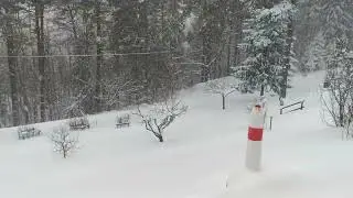 Sn&ouml;fall i tr&auml;dg&aring;rd och p&aring; bod