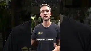 How Long Does It Take To Get A Job in Vietnam? (Teaching English in Vietnam)