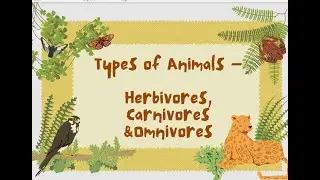 Types of animals| Herbivores, Carnivores & Omnivores| Kids learning| Eating habit of animals
