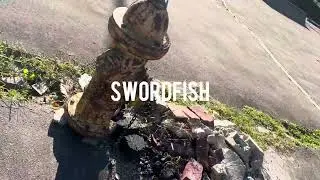 Fam Ross &ldquo;Swordfish&rdquo; prod. MGERM? #assa #boombaphiphop #undergroundhiphop #rap