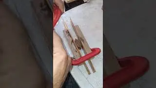 como  fazer olhinho para gaiola rápido e fácil🔥🔥🔥🔥😱