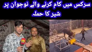 lion attack in circus | dhoom international circus | lucky Irani circus