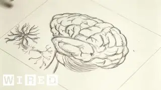 How ADHD Became a Multi-Billion Dollar Industry