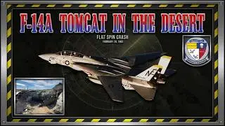 F-14A Tomcat in the Desert: An Aviation Story