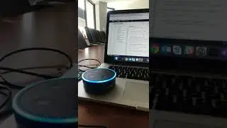 Custom Alexa Skill for Destiny 2 - Phase 1