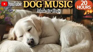 20 HOURS of Dog Calming Music💖🐶💖🐶Relaxing Sleep Music for Dogs🐶Great for Home Alone Pets