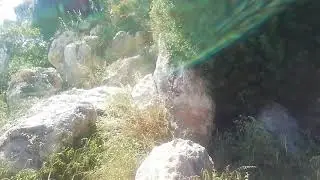 Agua de manantial y plantas medicinales... Cerca de Vejer. C&aacute;diz