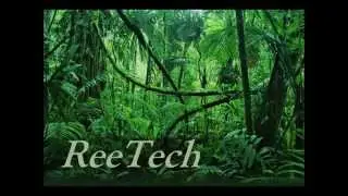 ReeTech - Djembe