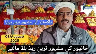 Famous Red Blood Orange Of Pakistan 2025
