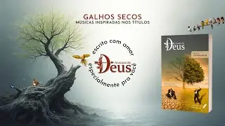 11 Galhos Secos