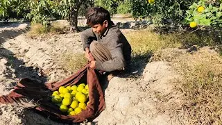 The beauty of punjab pakistan&rsquo;s village life