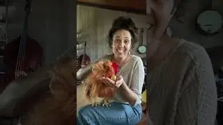 Who Fed The Chickens (With Chicken Puppet)