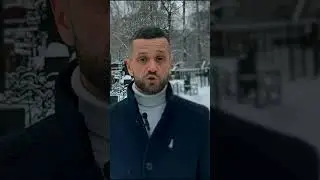 С Рождеством, чудо спасения щенка, Святая Матрона