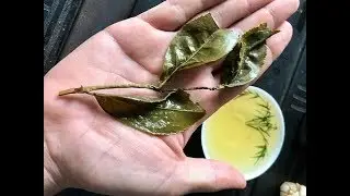 Ух ты! Высокогорный улун