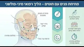מילון היופי ד
