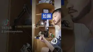 如願 原唱：王菲 洪繼贊 吉他翻唱 ruyuan
