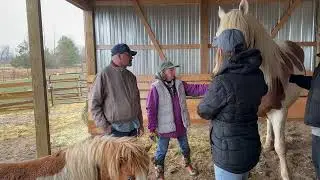 Gateway Meadows Equine-Assisted Services-Why come?
