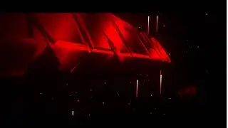 lynnelia  intro