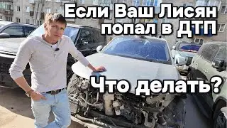 Страх владельца Лисян: Ваш авто попал в Дтп... Где брать запчасти?