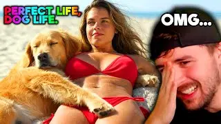 El Simulador de Vida de Perro 😲 Juegos de Chicas Horribles