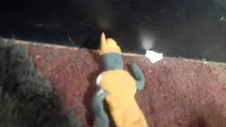 Dr rillaton  vs Dr almadata