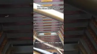 The WORLD FAMOUS #Otis #elevators at the #Atlanta #MarriottMarquis #Marriott #elevaTOURS #shorts